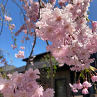 kicocohome_msw