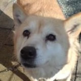 Naoko