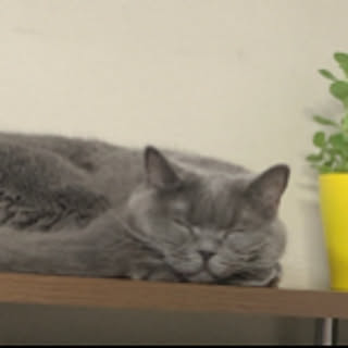 kiki