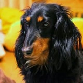 Kouji