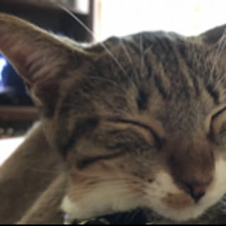 toi.toi.toi.15