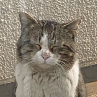 kumix2
