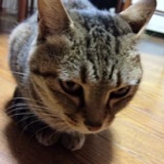 yuxyu