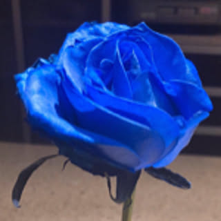 izm
