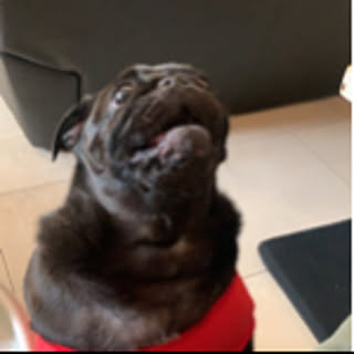 yuka