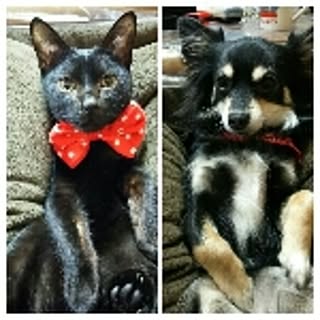 jiji.kuu