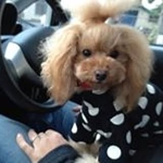 Hirom
