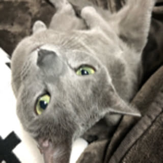 Rui