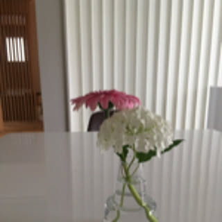 mao_310