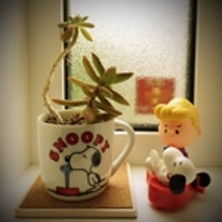 ozami_ismart