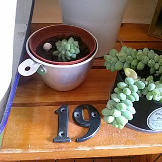 19