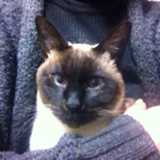 Matiko