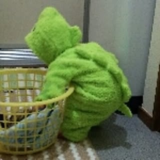 suu