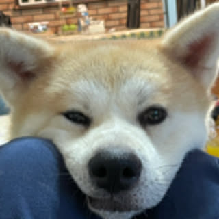 Min