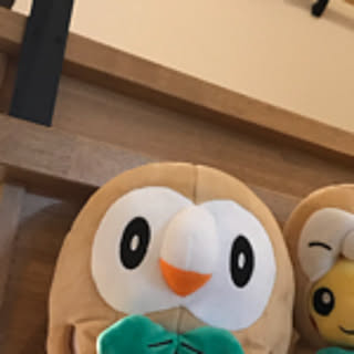 ozzz731