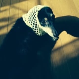 mico