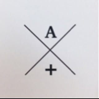a.organize