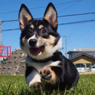 aki