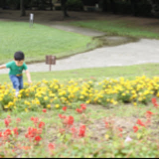 haru.3.26