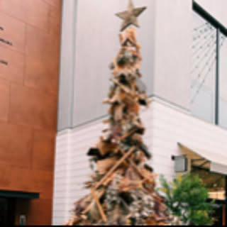 sayumi