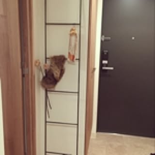 Rii