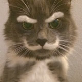 meotarow