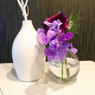 otasroom