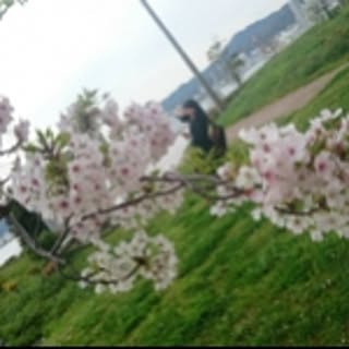nanase.