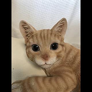 jun
