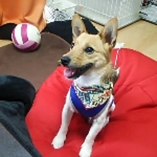 minobe0311