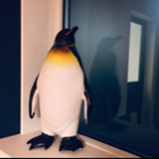nico