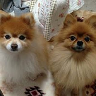 maily