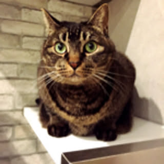 Miki