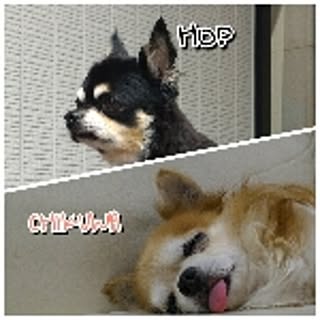 Ryohei