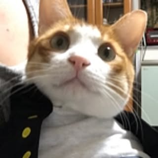 mikko3779
