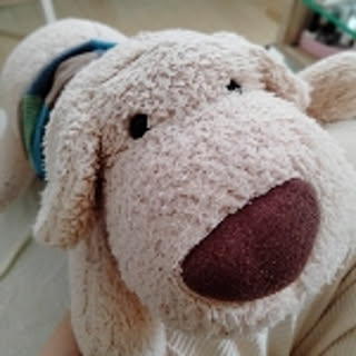 ponta