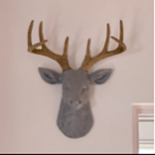 Noah__room