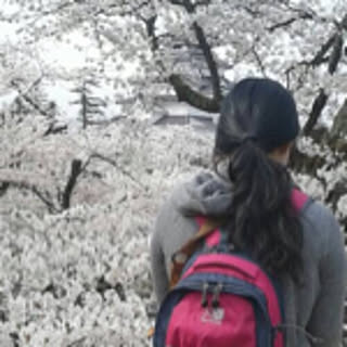 kayo