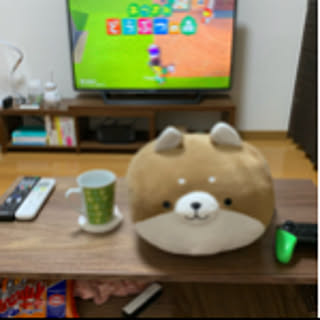 masashi