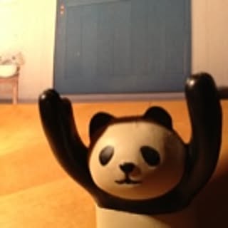 pandy