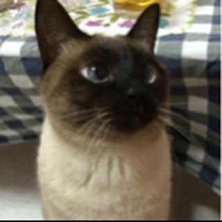 marie