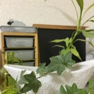 mimikokoiimama