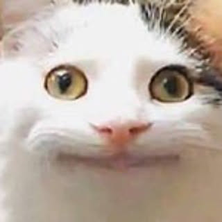 sanael_chan