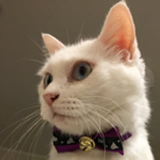 Yukako