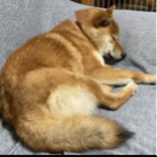 hiro