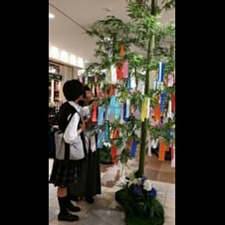 yuko