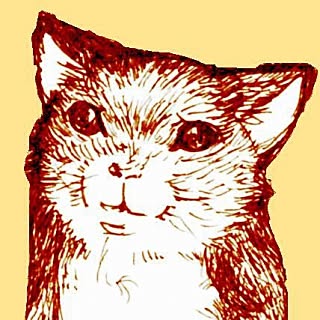 wasadakazu