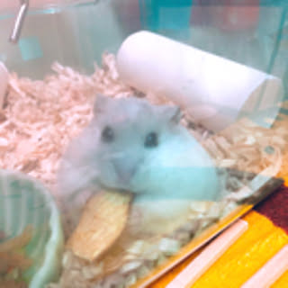 azkmgmg