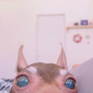 pinpuku
