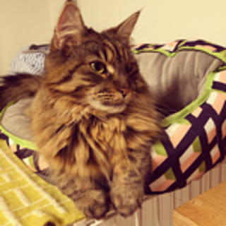 Hanna